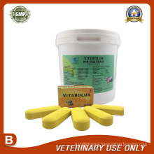 Veterinary Drugs of Multivitamin Bolus 18g